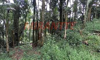 Imagem 6: Terreno em Parque Imperial