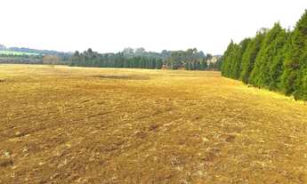 Imagem 3: Área de 21.040m2 no Campo Largo da Roseira