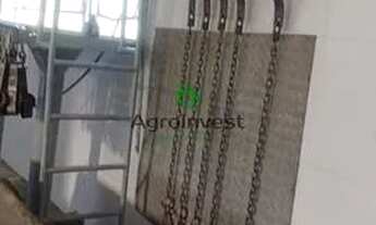 Imagem 4: Abatedouro em Pires do Rio-GO