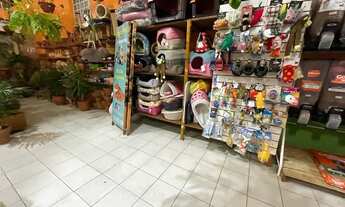 Imagem 3: VENDO LOJA COMPLETA EM FUNCIONAMENTO