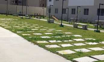 Imagem 5: Alugo apartamento 700 reais no praia Bela 2, térreo nascente