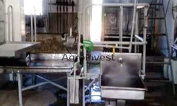 Imagem 7: Abatedouro em Pires do Rio-GO