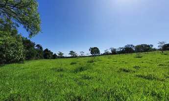Imagem 4: Terrenos com Acesso ao Rio Pará por Apenas 24.925 + Parcelas