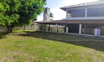 Imagem 6: Casarão na beira de pau amarelo