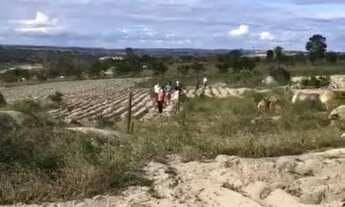 Imagem 2: Sítio em Areial- PB