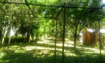 Imagem 3: Terreno para Venda - 720m², 0 dormitórios, Lomba Do Pinheiro