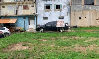 Imagem 2: Lote grande Colorado