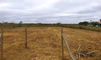 Imagem 2: Tarefas em Água Fria