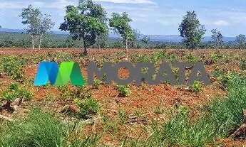 Imagem 5: FAZENDA À VENDA - 385 HECTARES - CORINTO - MG