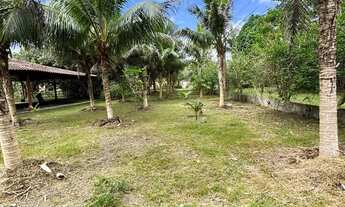 Imagem 4: OTIMO SITIO COM UMA LINDA CASA COM PISCINA