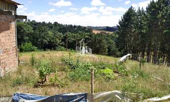 Imagem 7: Terreno com 1 Dormitorio(s) localizado(a) no bairro Centro em Contenda / Ref.:846