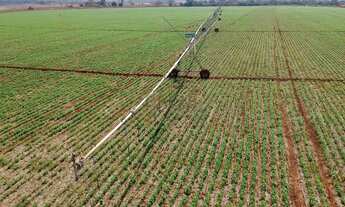 Imagem 5: Fazenda com pivô em Unaí em Minas Gerais, à venda com 125ha