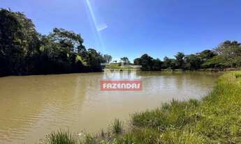 Imagem 2: Chácara 7.97 alqueires (38,57 hectares) Cromínia - GO