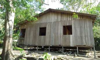 Imagem: Vendo um lindo sitio. Valor 110 mil