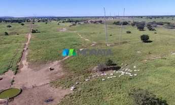 Imagem 7: FAZENDA À VENDA - 2.500 HECTARES - JAÍBA (MG