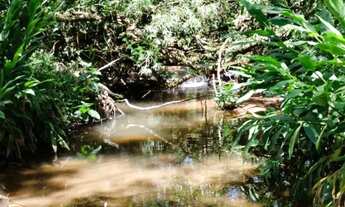 Imagem 3: Lotes em Sítio com Condomínio Fechado - ITACOLOMI