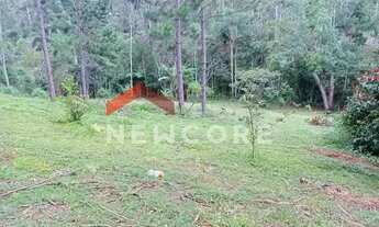 Imagem 3: Lote em Avenida Marta Maria de Jesus - Centro - Juquitiba/SP