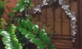 Imagem 6: Apartamento venda