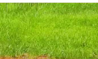 Imagem: 86A- LANÇAMENTO DE TERRENOS EM ATIBAIA