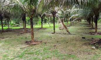 Imagem 4: Sítio 365 x 3.200 estrada de Balbina km 34 400.000