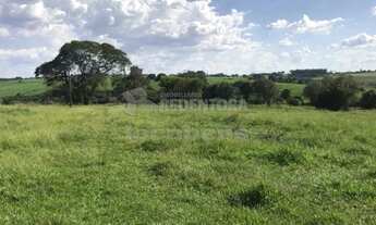 Imagem 5: Rural Sítio em São José do Rio Preto