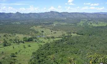 Imagem 7: Fazenda Goiás Niquelândia