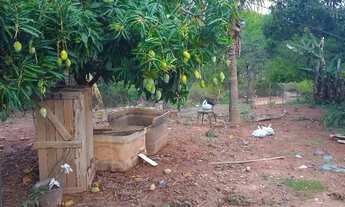 Imagem 2: Vendo chácara em Campus Elísios