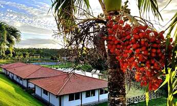 Imagem: Oportunidade única, excelente lote de 1.365m/2