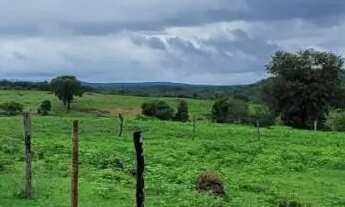 Imagem 7: FAZENDA 354 ALQUEIRES COLINAS DO SUL (GO