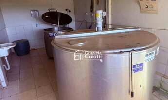 Imagem 6: Fazenda em Alexânia 126 ha Plana, Dupla Aptidão: Pecuária Leiteira e Corte + Agricultura