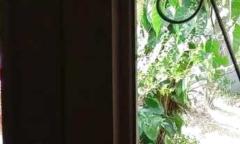 Imagem 6: Oportunidade no Córrego Grande - Casa Ampla com 2 Pavimentos