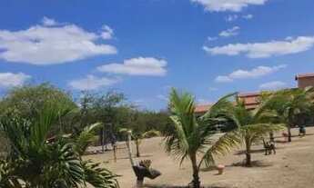 Imagem 5: Sítio entre a cidade de Santaluz e Valente
