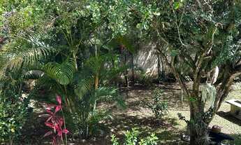 Imagem 6: Chácara 2.000 metros