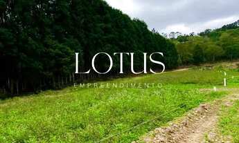 Imagem 5: 86C- TERRENOS PLANOS EM COTIA