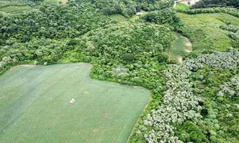 Imagem 2: Vendas Chácara Almirante Tamandaré PR