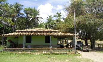 Imagem 6: Fazenda na Linha verde com 287 hectares - Entre Rios - BA