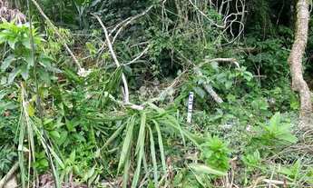 Imagem 5: Terreno padrão à Venda, Verde Mar, Caraguatatuba, SP