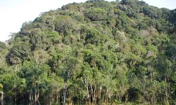 Imagem 6: AREA - JARDIM ITAPECERICA - SP