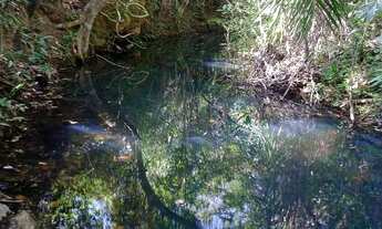 Imagem: VENDO!!! SÍTIO 20 HECTARES À VENDA NOSSA