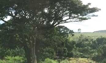 Imagem 3: Chácara | Monte Sinai - Anápolis/GO