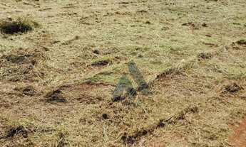 Imagem 4: Terreno à venda, 1100 m² por R$ 150.000 - Mato Seco - Itapetininga/SP