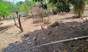 Imagem 7: Vendo sítio ou troco por casa na cidade Cuiabá