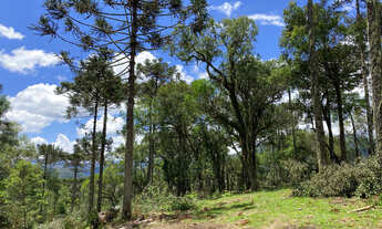 Imagem: Sítio em Urubici /chácara em Urubici