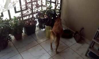 Imagem 5: São José do Rio Preto - Apartamento Padrão - Jardim Americano