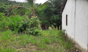 Imagem 6: Vendo excelente fazenda Nazaré das farinha