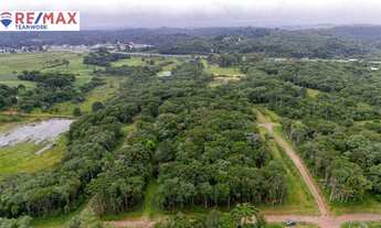 Imagem 7: Chácara à venda, 1000 m² por R$ 150.000 - Borda Do Campo - São José dos Pinhais/PR