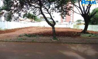 Imagem 2: Toledo - Lote/Terreno - Jardim La Salle