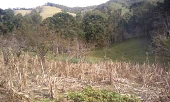 Imagem 4: Ótima Chácara com 10,3 Alqueires na Serra da Mantiqueira em Marmelópolis/MG