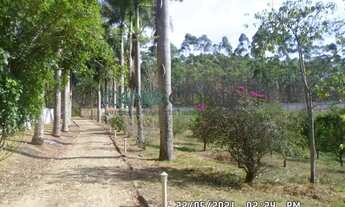 Imagem 2: SITIO EMPREENDIMENTO DE 21 HA DENTRO DA CIDADE DE CARANDAI