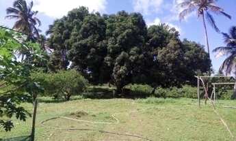 Imagem 4: VENDO ILHA EM PIAÇABUÇU